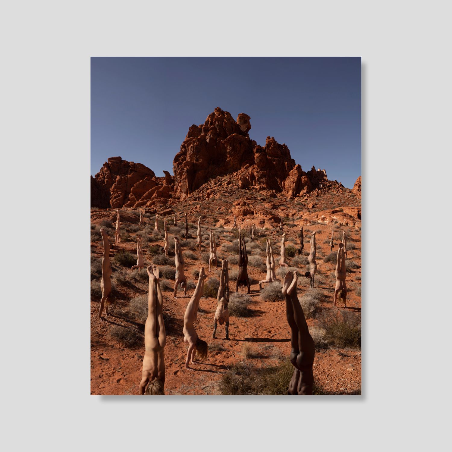 Arma Gallery - Contemporary Art - Artist - Rob Woodcox - 4