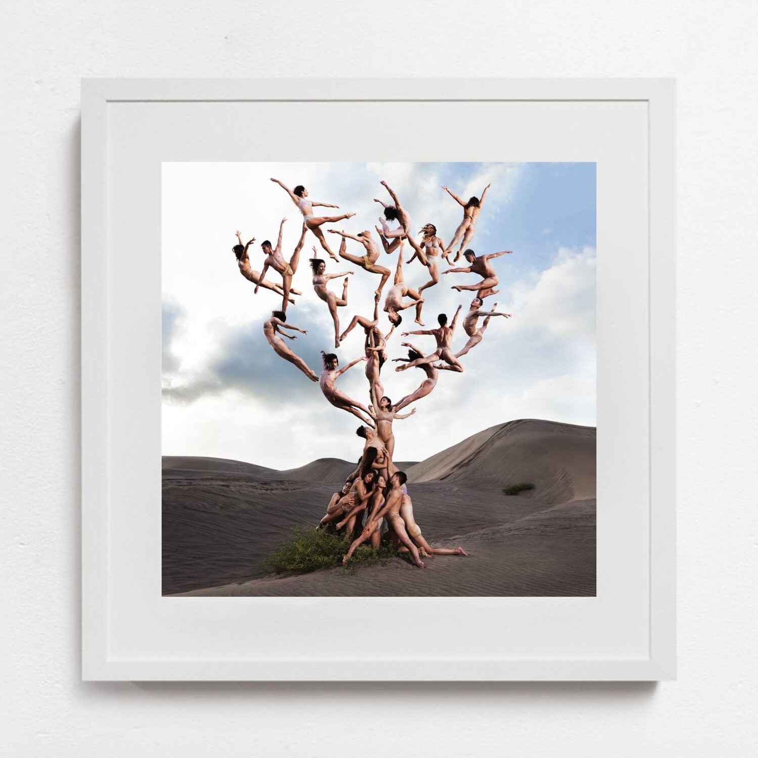 The Tree of Life , 2018. Rob Woodcox